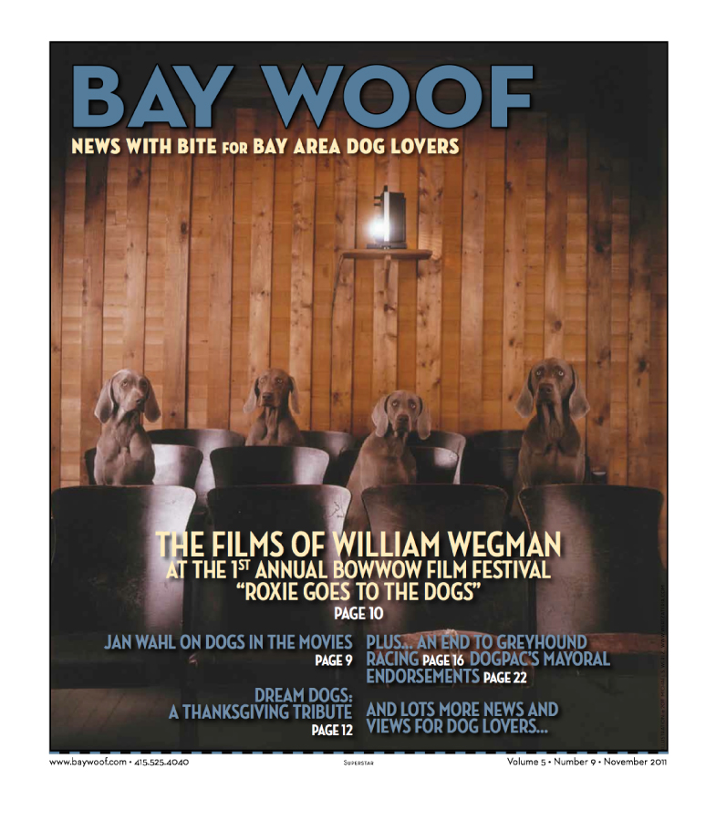 Articles - Bay Woof Magazine