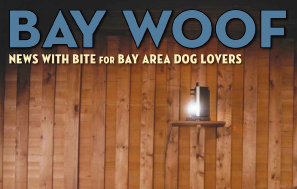 Bay Woof Magazine